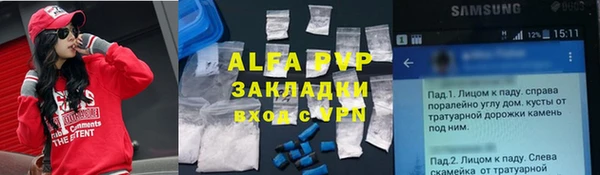 ГАЛЛЮЦИНОГЕННЫЕ ГРИБЫ Балабаново